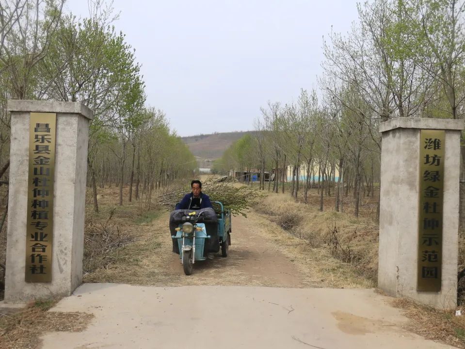 小产业带动乡村振兴大步伐,产业扶贫助力乡村振兴