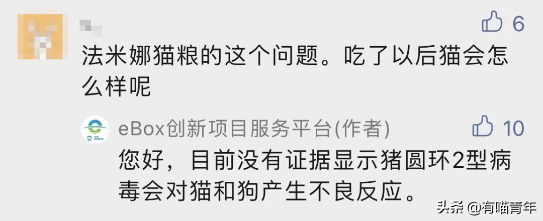 被央视曝光的猫粮,进口猫粮与国产猫粮能掺起来吃吗