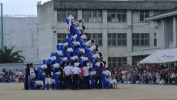 a股走势搞笑段子,一个a股段子手的年末总结