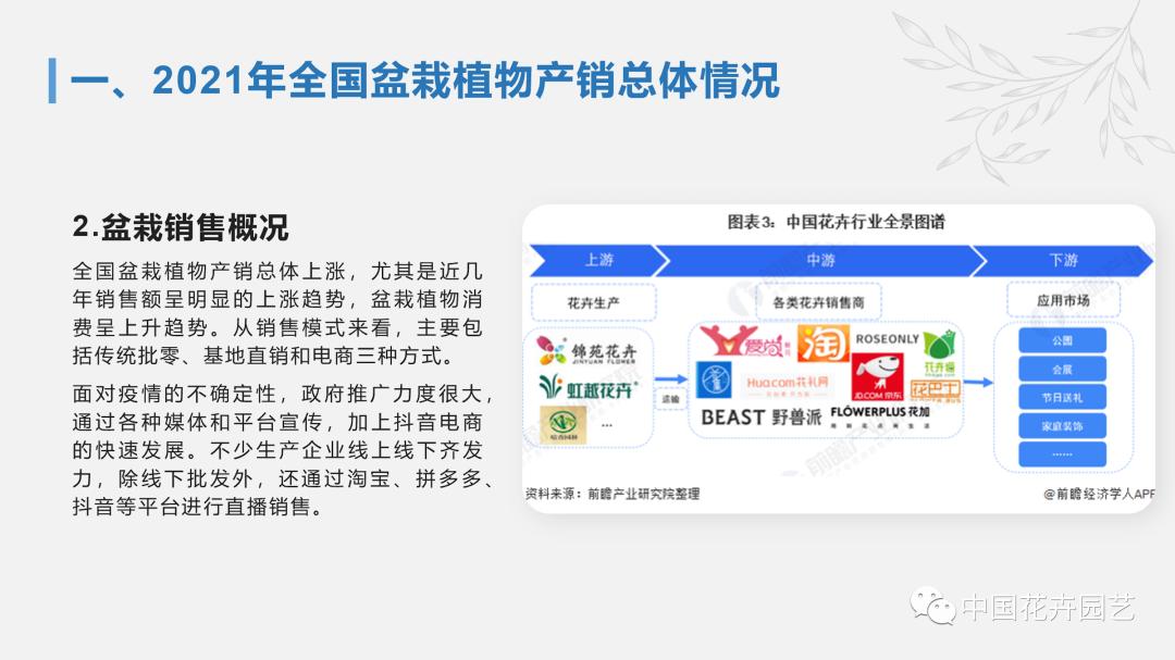 盆栽花卉行业前景,花卉盆栽的市场分析