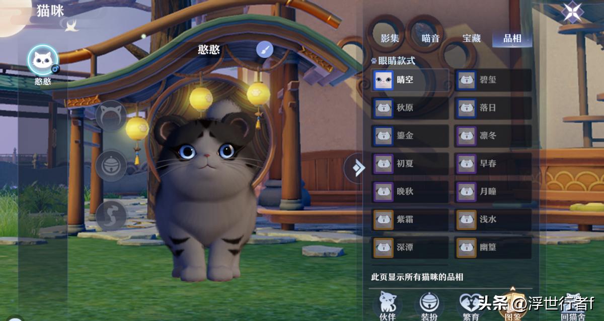 梦幻新诛仙猫咪怎么放在猫舍里,梦幻新诛仙仙府猫怎么获得