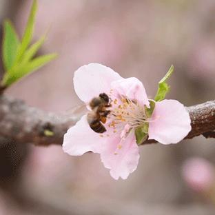 新生活方式新需求,新消费生活