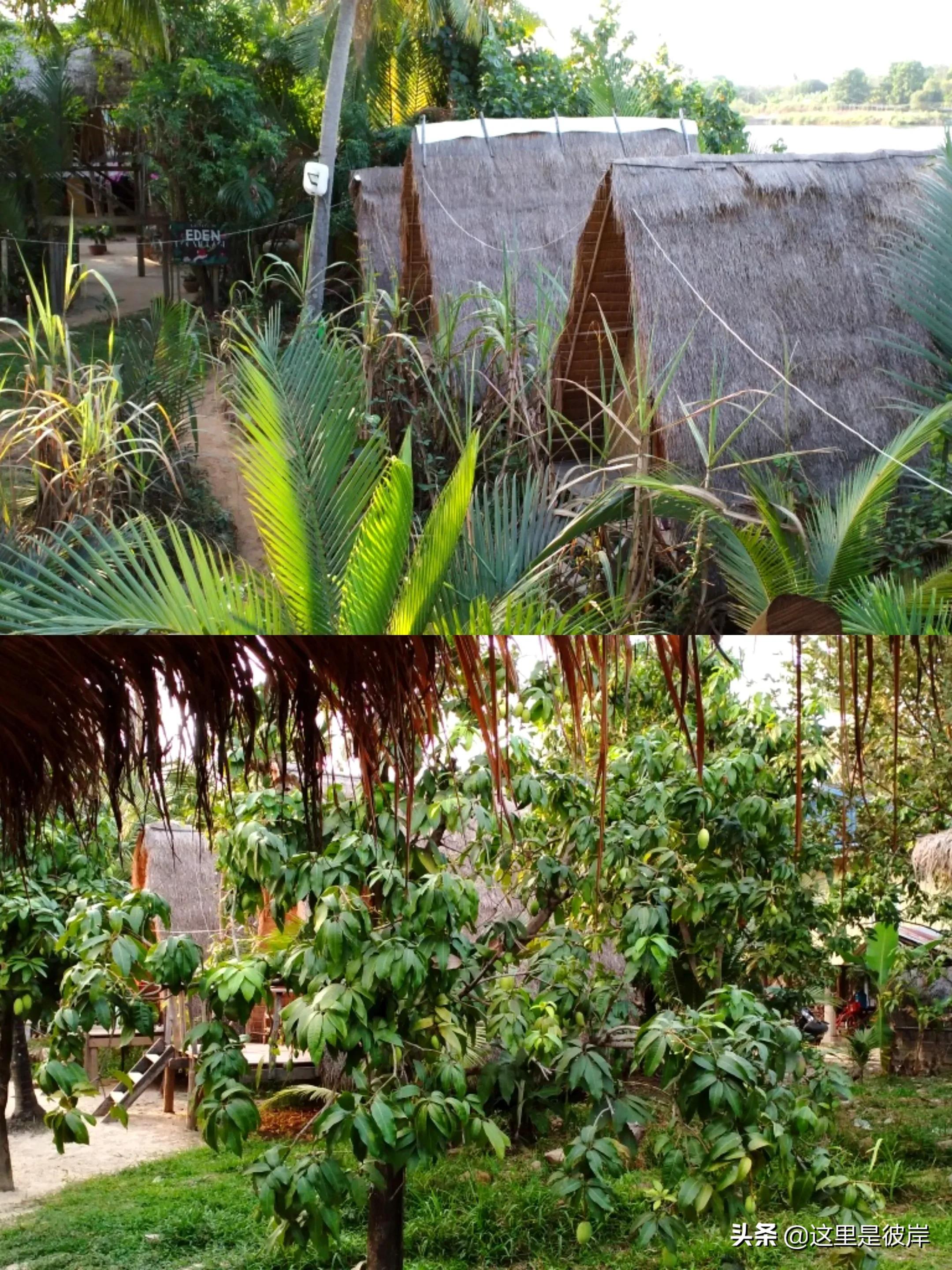 住过的最印象深刻的青旅,贡布旅游攻略大全