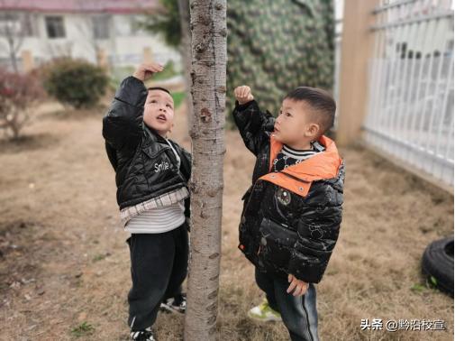 独山县城西童乐幼儿园:“春风十里,绿意萌动”