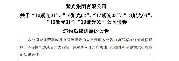 紫光原董事长赵伟国等被强执,紫光集团赵伟国案件剖析