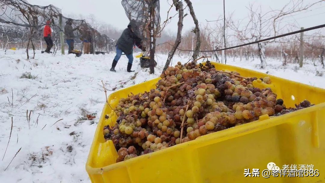 冰酒有多贵,pellerestates冰酒价格