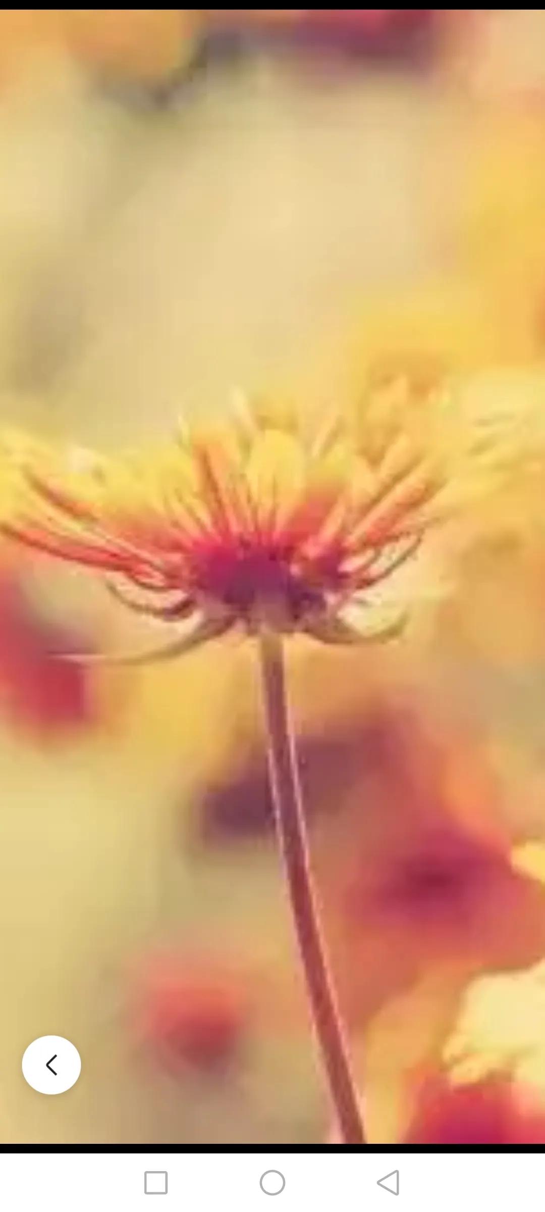 对弱势群体好的人是什么性格,对待弱势的人要善良点