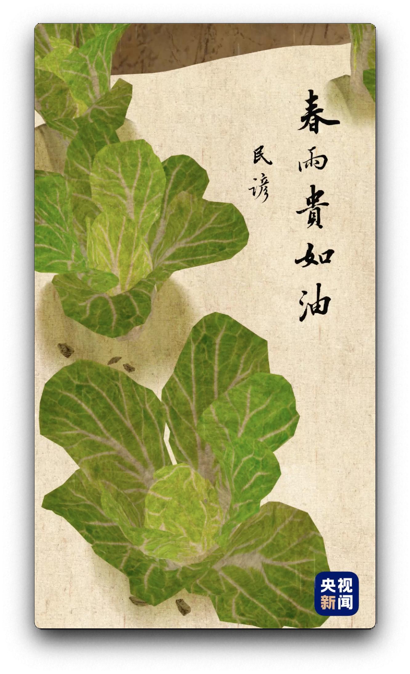 雨水好时节小说,人间好时节完整