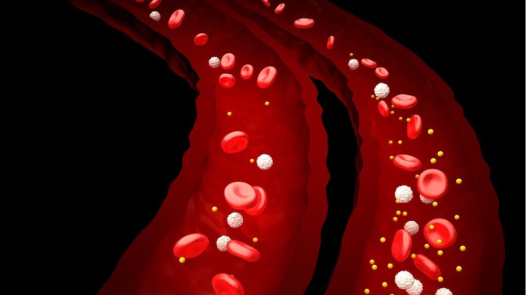 老年人脑部萎缩吃什么维生素好呢,老人脑萎缩吃什么能食疗恢复