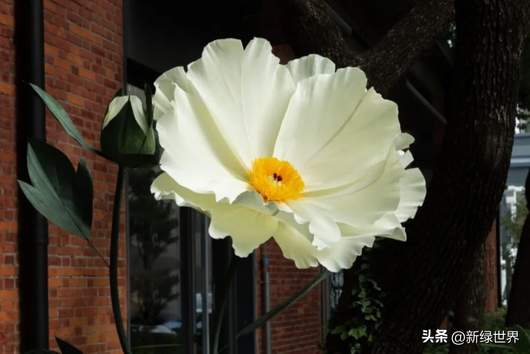 一组纸艺作品,令人惊艳的纸艺作品