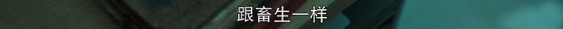 开播冲上9.2，一口气炫5集，这剧太过瘾了