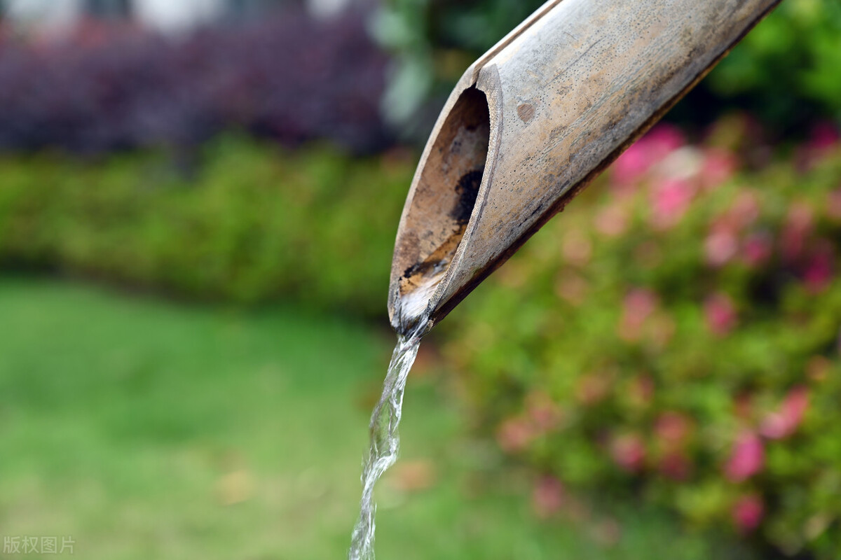 郭进拴,郭进拴令人惊心动魄的生死守护