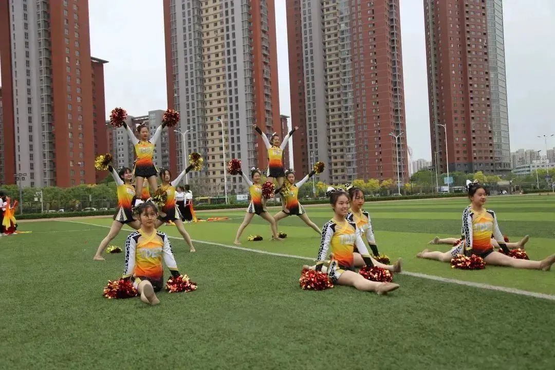 泰达一中泰达二中特长生招生情况,滨海新区泰达一中