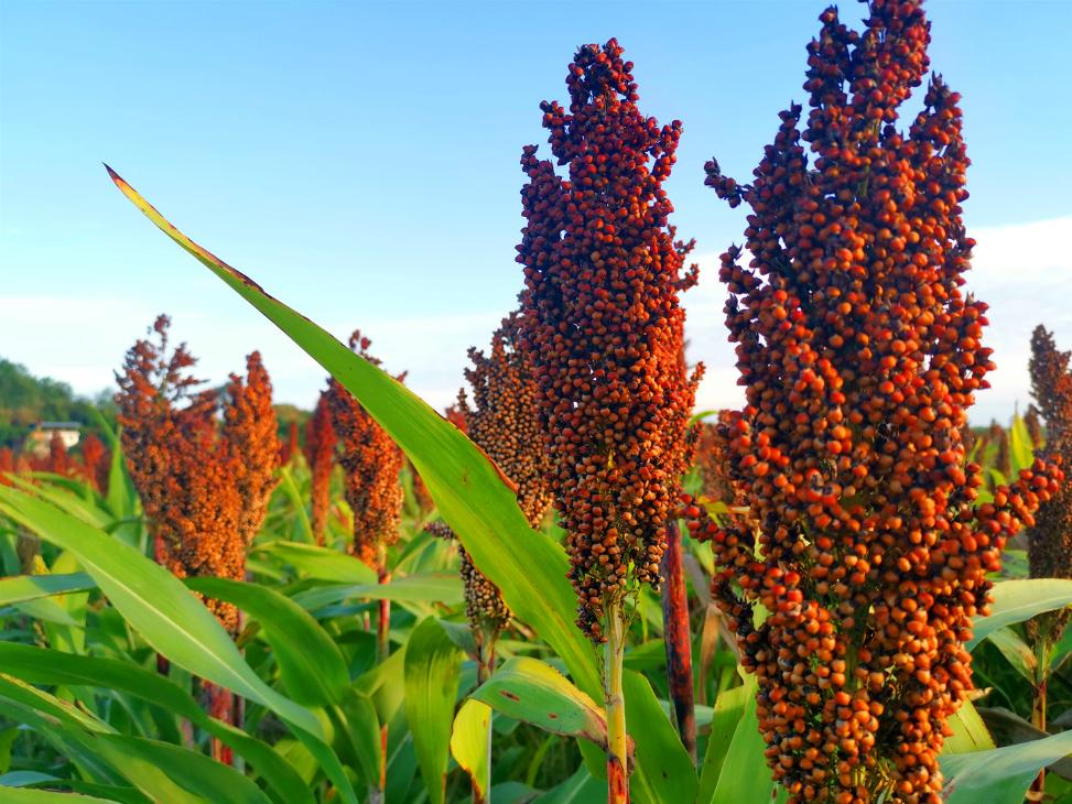 同一款酒为什么价格差距这么大,同一款酒为什么淘宝的酒那么便宜