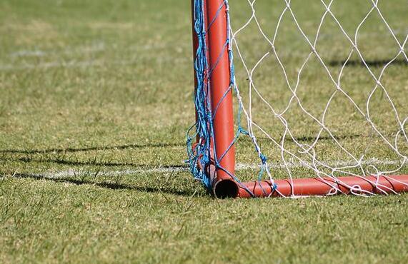 法甲联赛历史射手王,法甲历史进球最多的球员