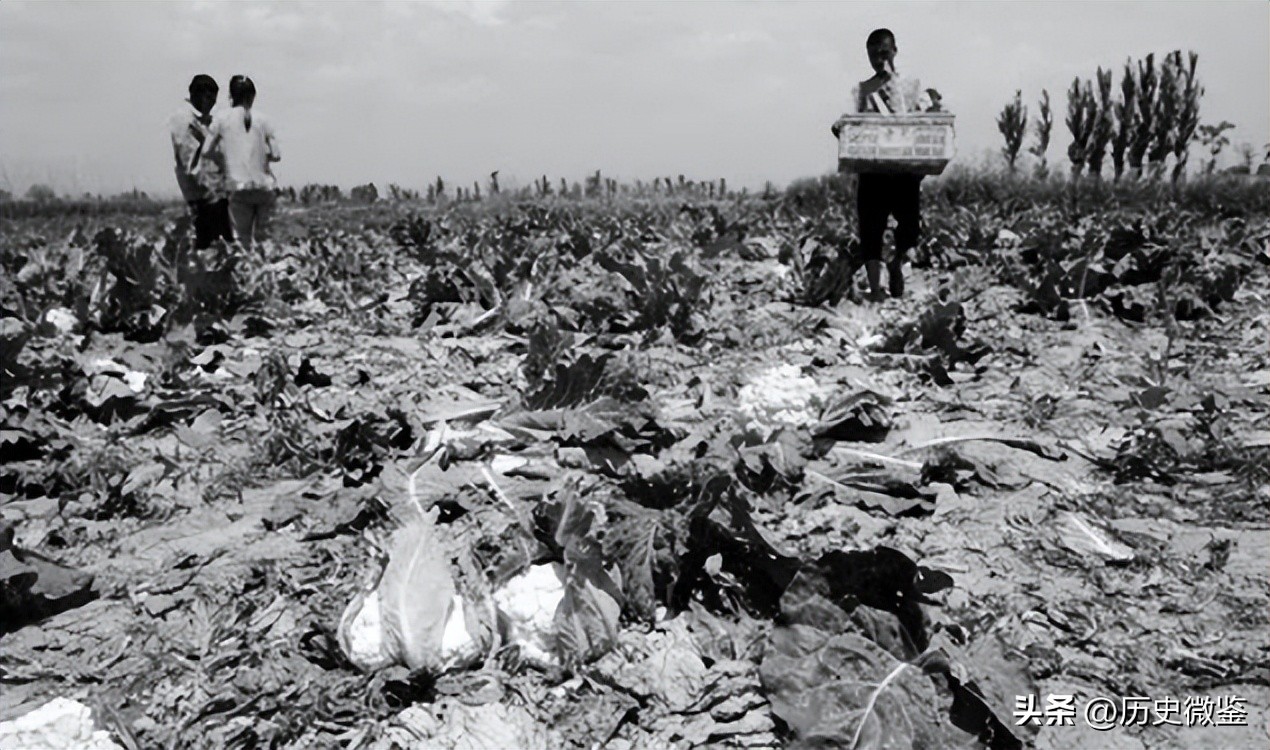 金庸：造原*弹子**，不如多做几条裤子穿！陈毅：当了裤子也要造