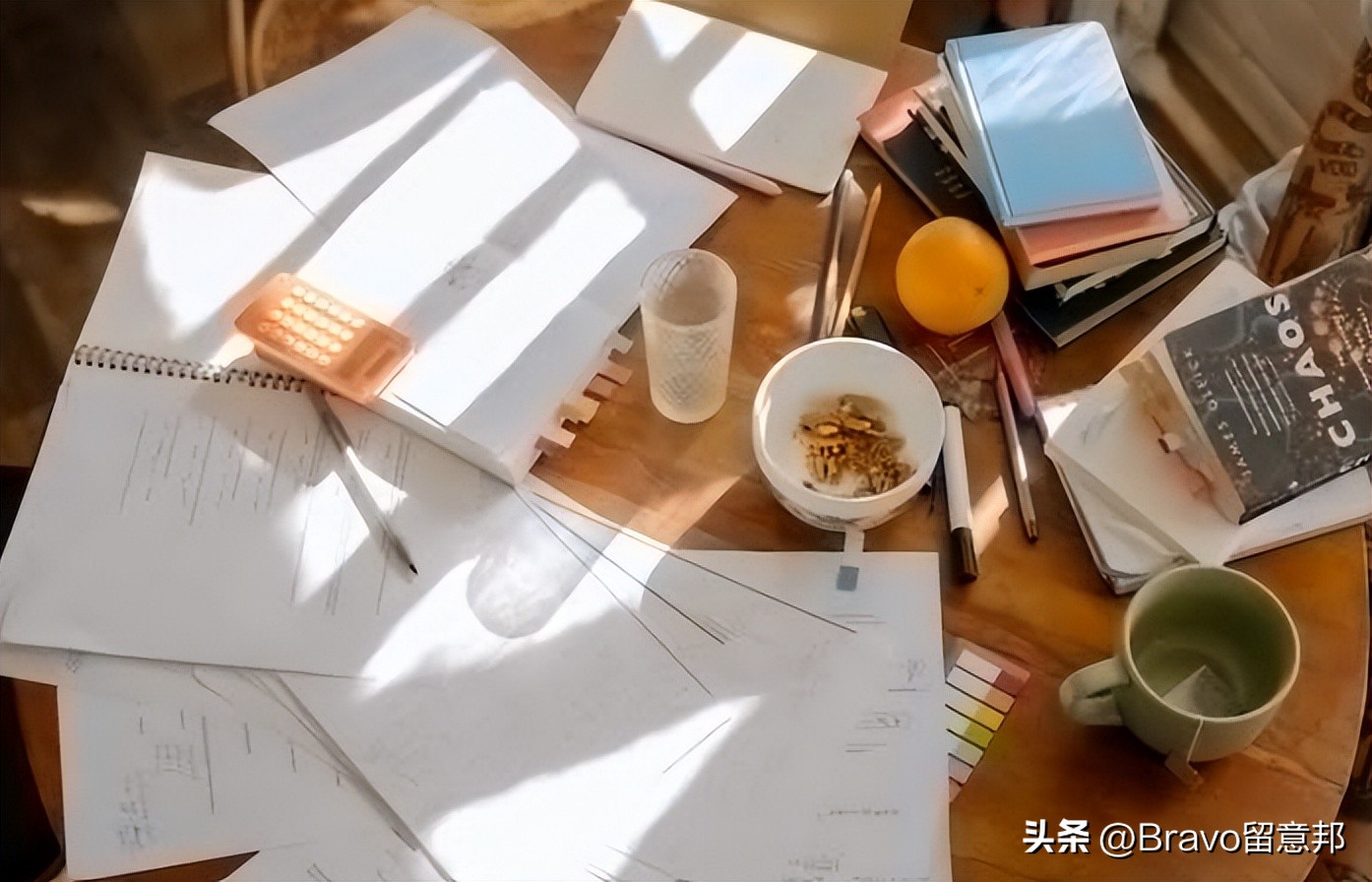 知己知彼紫腚能行！米兰理工大学2023/24学年本科各专业招生名额