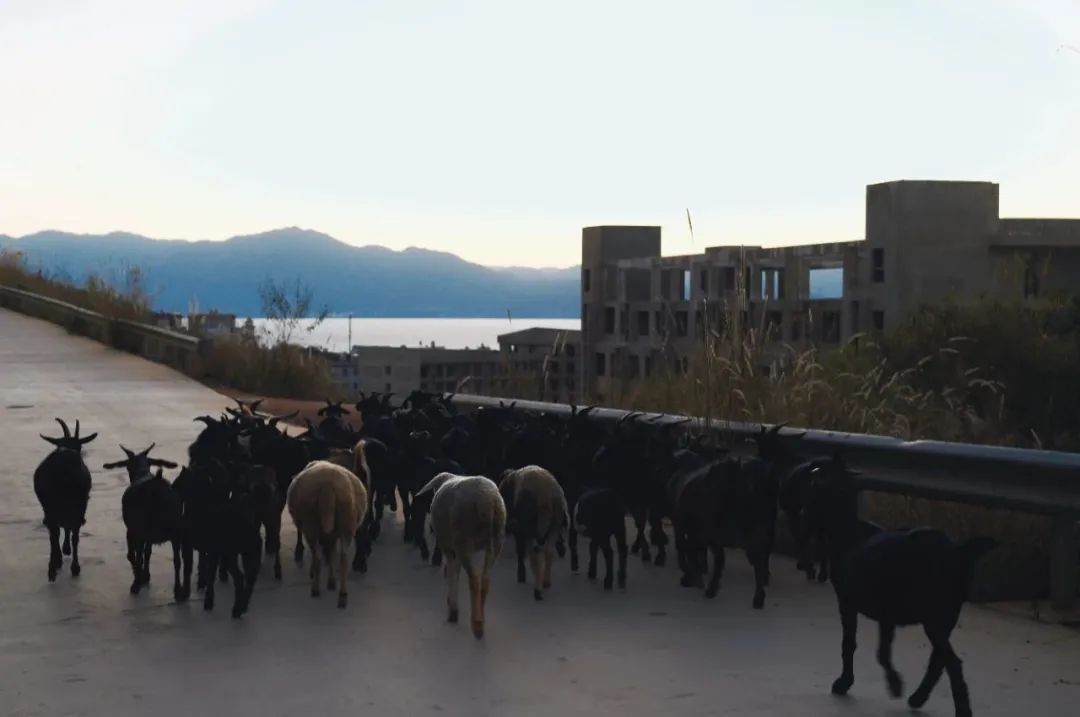 旅游团建现在好做吗,五月份公司团建旅游