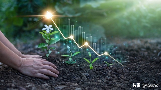 未来几年农业种植发展趋势,山区农业发展趋势及未来