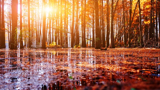 小学生小故事大道理感悟人生哲理,小故事大道理感悟人生哲理文案