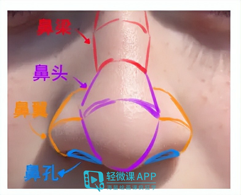 鼻子怎么画才好看漫画,画画时如何画鼻子