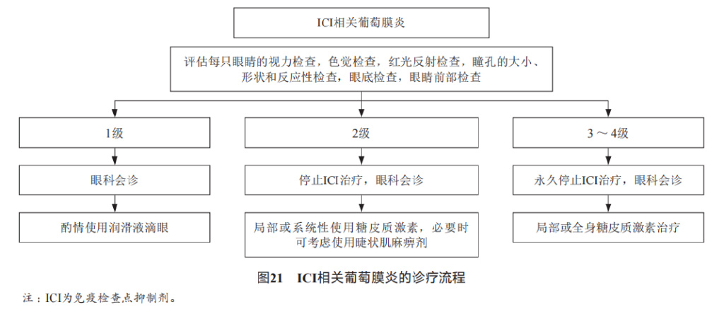消化系统恶性肿瘤合理用药指南,胃肠道肿瘤免疫治疗前景