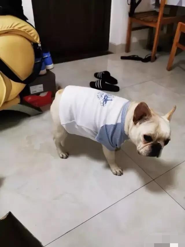 老公帮老婆买卫生巾的搞笑视频,男生帮女生买卫生巾搞笑版