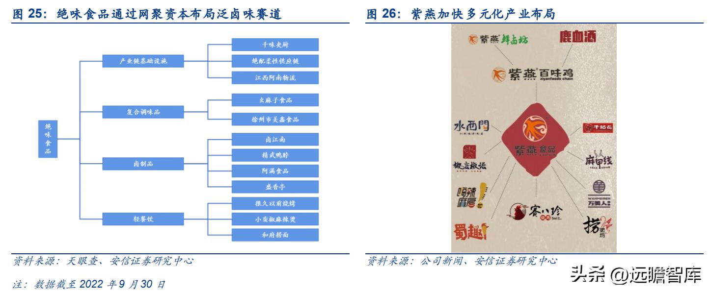 紫燕卤味三巨头,紫燕卤味招商加盟