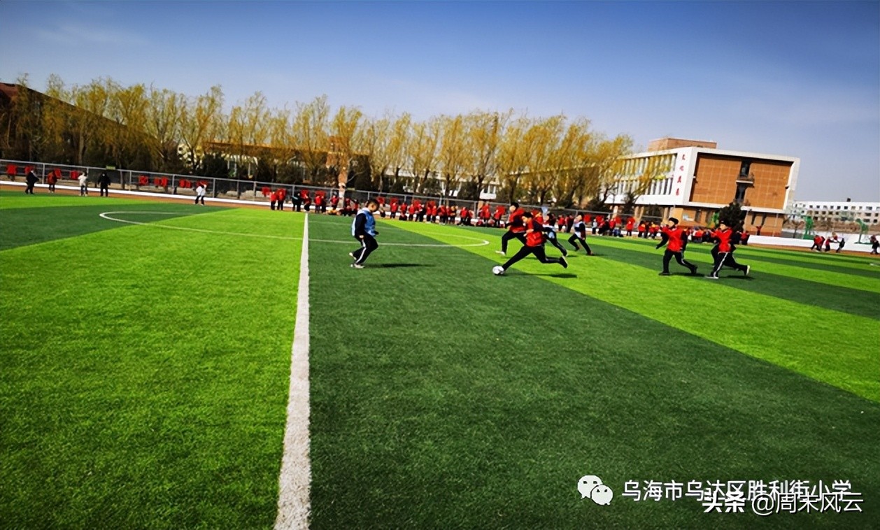 乌海“校长杯”：绿茵竞技场精彩连连看