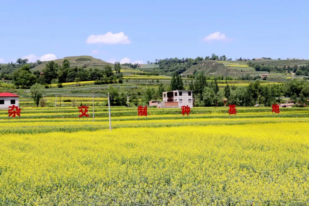 速收！兰州出发，临夏太子山旅游大通道及3-5日大环线自驾游攻略！