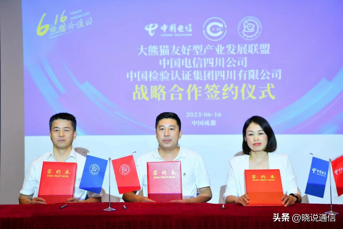 四川野生大熊猫耍朋友,把四川的熊猫带回家