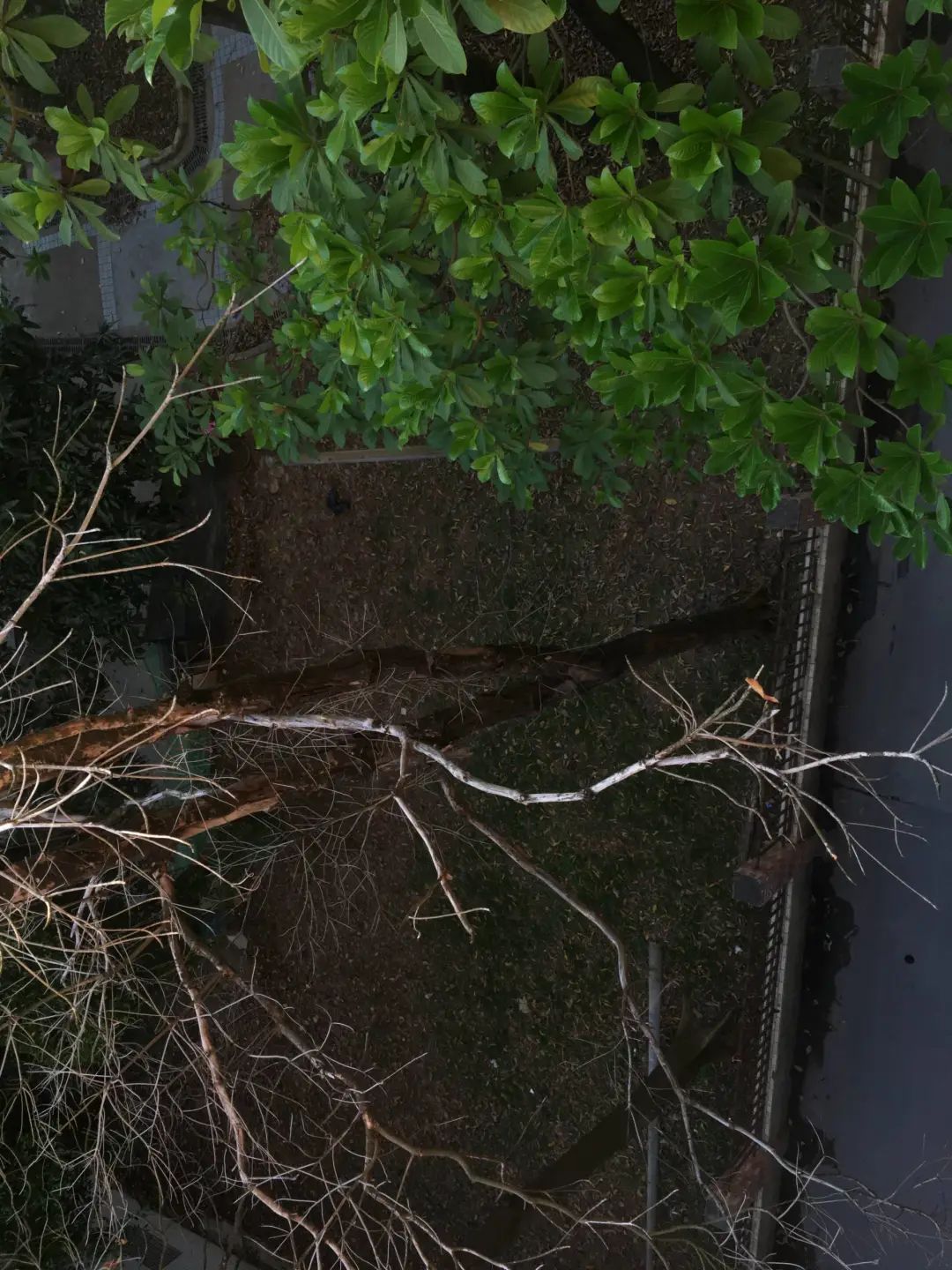 错过了一个秋天,错过了一个春秋