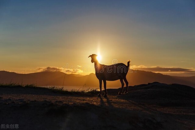 养好精气神需要注意什么,做到这一点