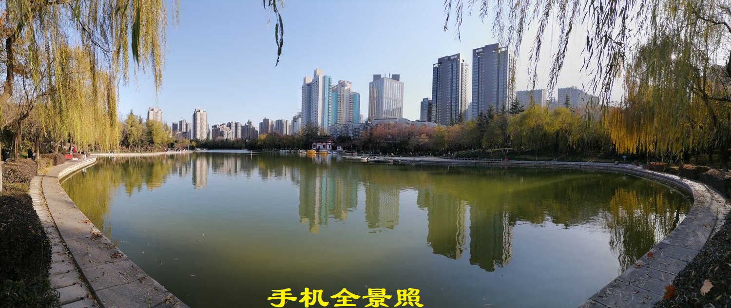 冬日暖阳悠闲惬意,冬日的丰庆公园