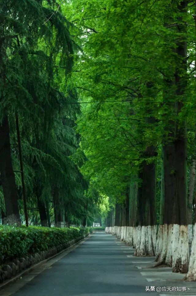 来南京不能错过的小众打卡地,南京江宁小众打卡点