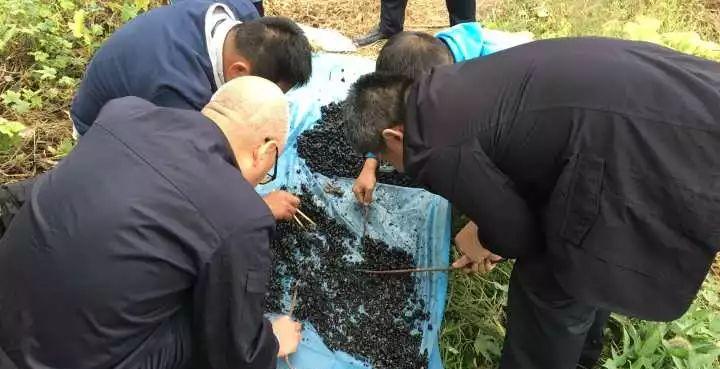 女子跳广场舞8年后找到白骨,48岁妇女跳完广场舞失踪完整视频