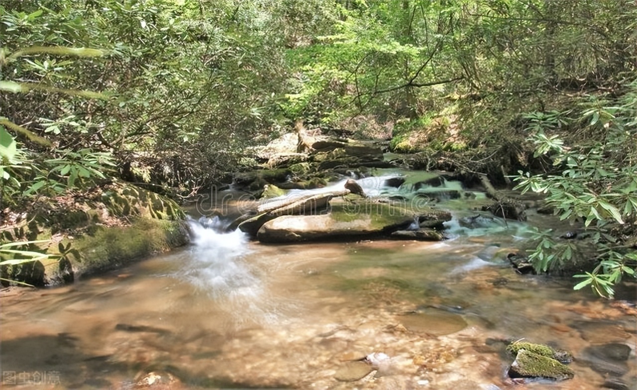 唐诗中有禅意的诗句,禅意七绝108首诗