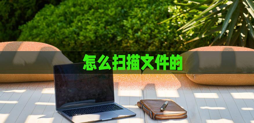 怎样使用免费的扫描软件,什么扫描软件可以扫描成电子版