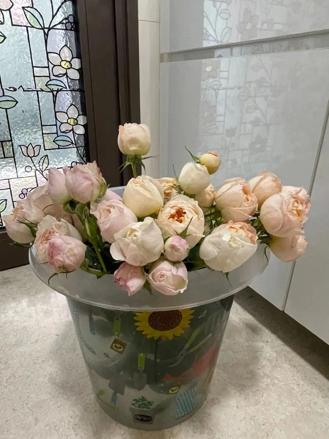 鲜花在水里能养几天会死,新加坡盆栽花卉怎么养