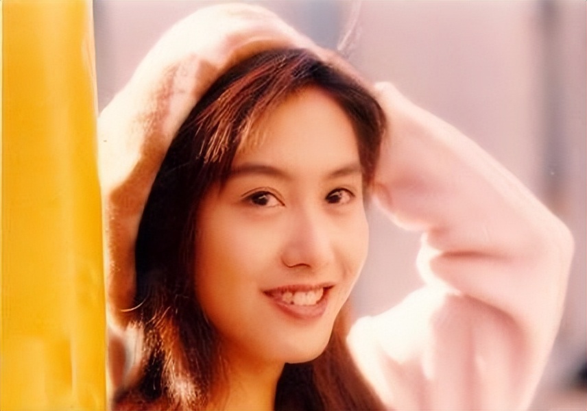 15本已完结香港娱乐明星小说，唯大英雄能本色是真名士自风流