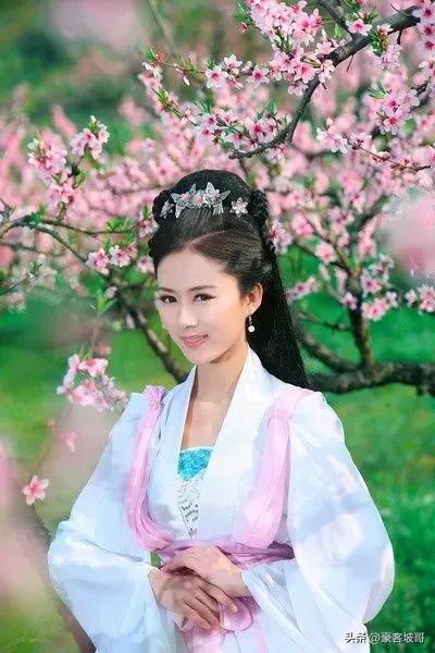 东坡酒系列,东坡系列