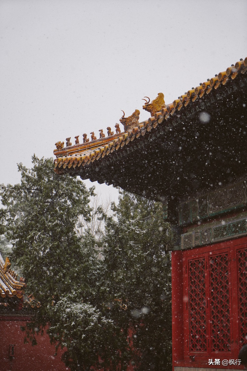 故宫开启雪景模式北京迎今冬初雪,北京下雪去哪里看故宫最好看