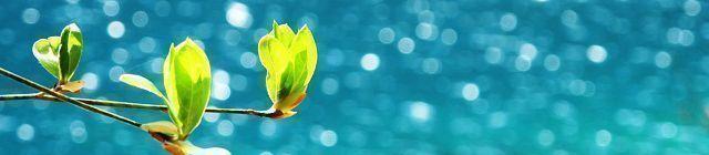 九寨沟除了大巴还有什么交通方式,九寨沟出行安排