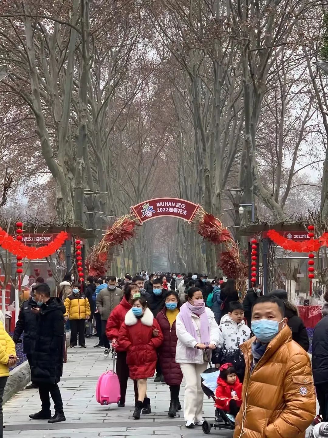 武汉惠民鲜花券领取时间,武汉鲜花优惠券