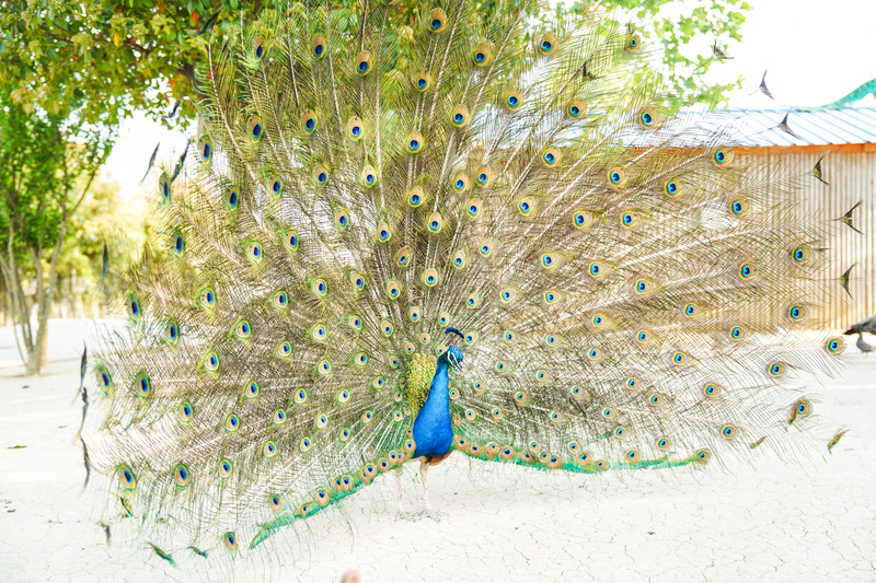 宿州两日游,安徽宿州一日游推荐