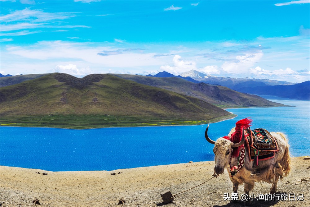 第一次去拉萨旅游攻略,第一次去西藏怎么玩7天