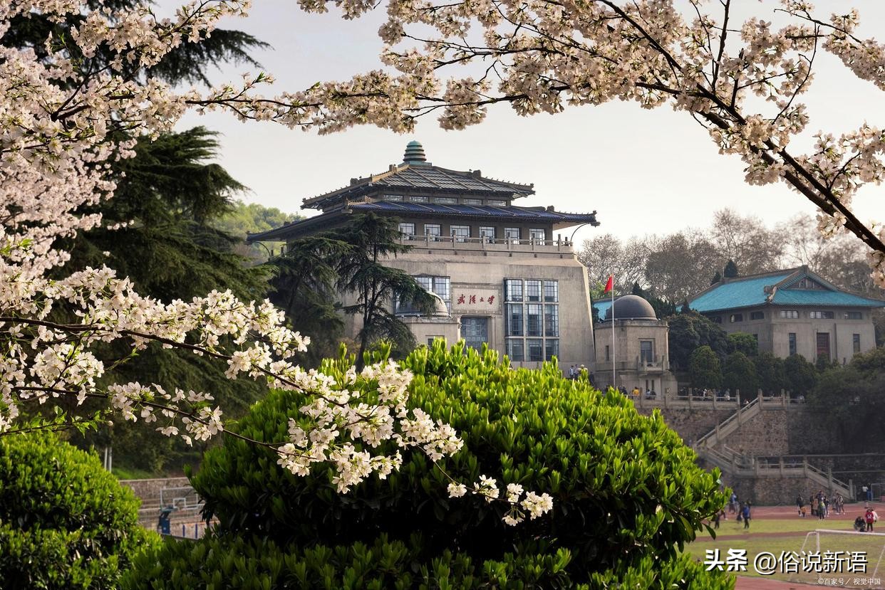 湖北高校排名一览表一本,湖北高校排名2020完整版