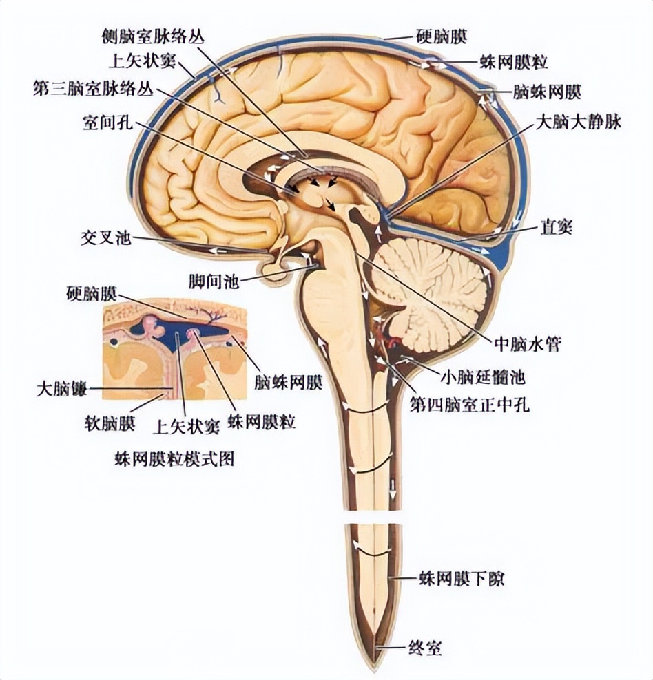 摆正位置，远离疾病！三种与体位相关的疾病，你了解多少