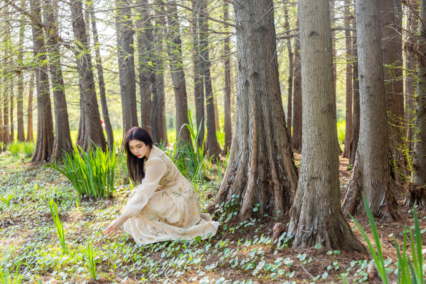 春日下江南杭州,春日下江南古镇