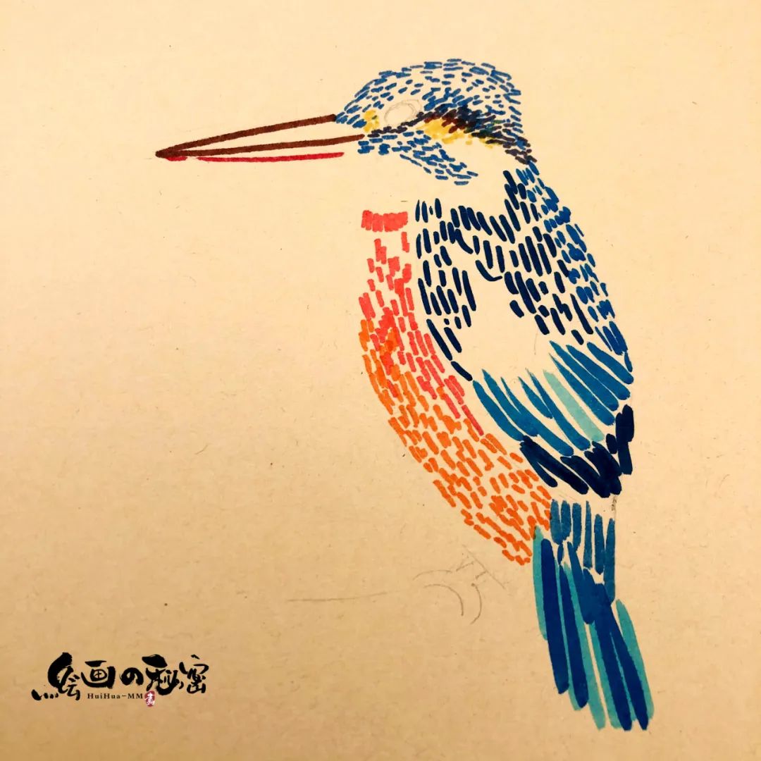 翠鸟育雏全集完整版,翠鸟生活环境